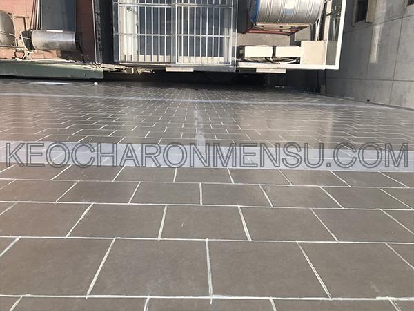 Cách chà ron sân thượng không bị rêu mốc