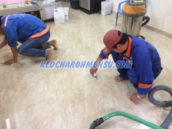 Triển vọng nghề chà ron tại Việt Nam